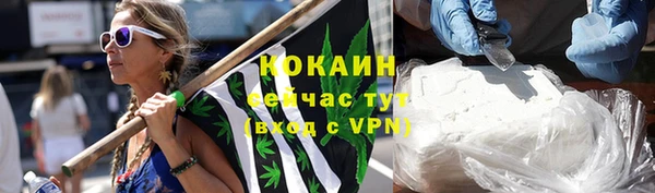 прущие грибы Богородск