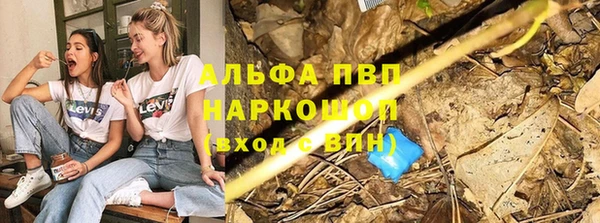 прущие грибы Богородск
