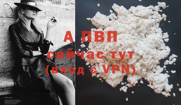 прущие грибы Богородск