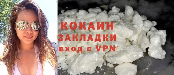 прущие грибы Богородск
