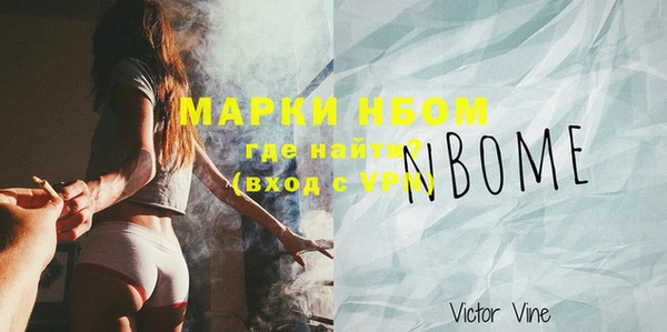 мдпв Богородицк